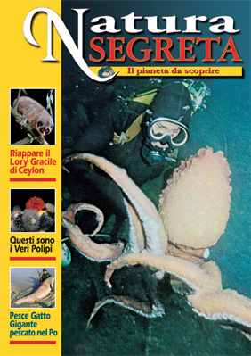 Rivista online di natura Segreta e Misteriosa