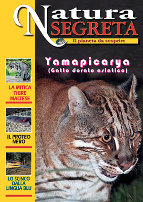 Rivista online di natura Segreta e Misteriosa