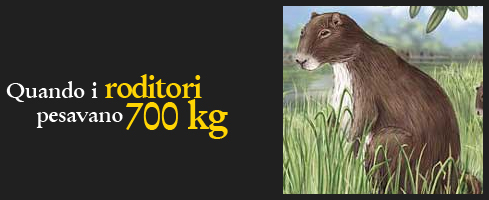 Roditori da 700 kg