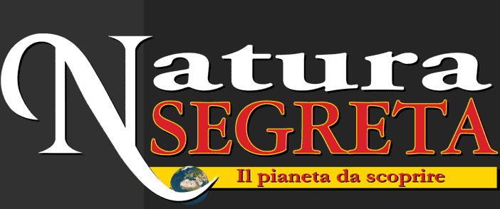 I Misteri e i Segreti della natura. Un Web Magazine ricco di curiosità, scoperte e misteri affascinanti.