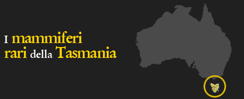 I mammiferi rari della Tasmania